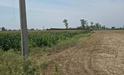 Agricultural Land
