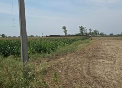Agricultural Land