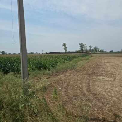 Agricultural Land