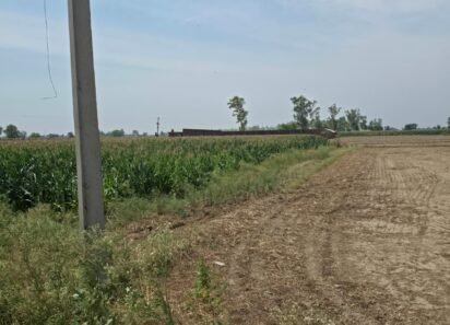 Agricultural Land