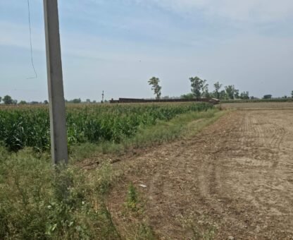 Agricultural Land