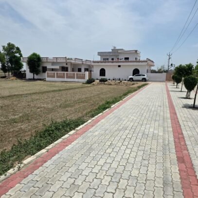 Agricultural Land