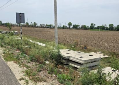 Agricultural Land