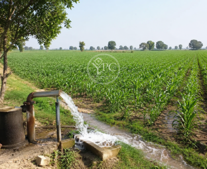 Agricultural Land (₹58 Lakh)