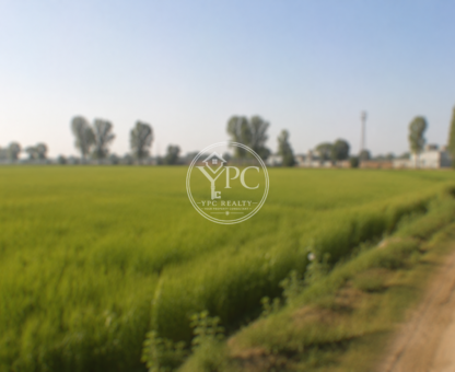 Agricultural Land