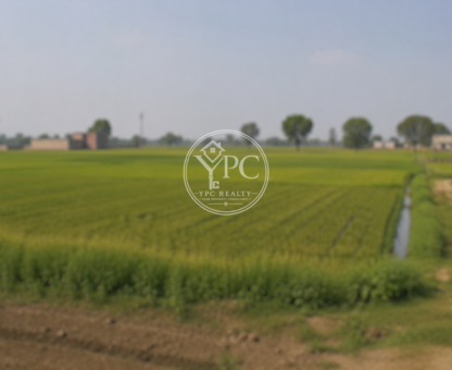 Agricultural Land