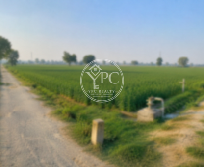 Productive Agricultural Land (₹60 Lakh)