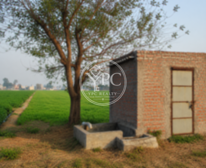 Fertile Agricultural Land (₹50 Lakh)