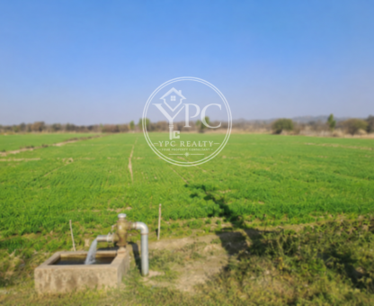 Agricultural Land on Link Road (₹65 Lakh)