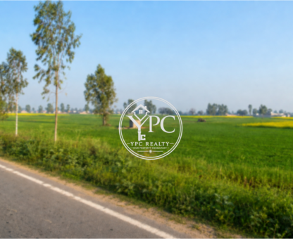 Agricultural Land For Commercial Use