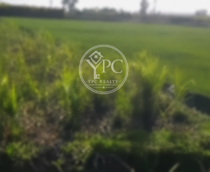 Agricultural Land for Commercial Use