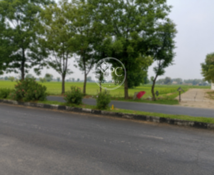 Agricultural Land for Commercial Use