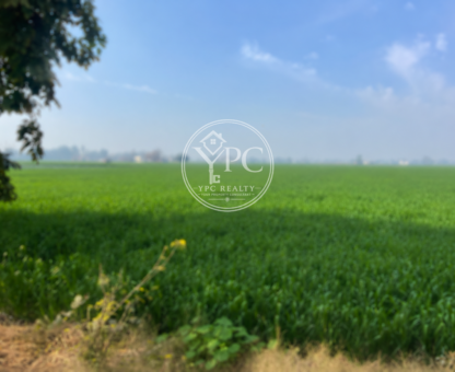 Premium Highway Investment Opportunity