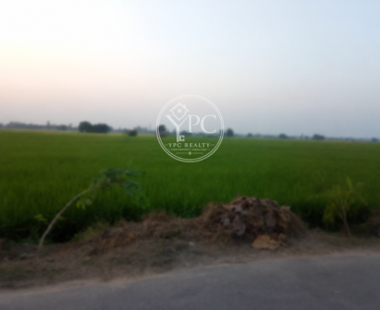 Agricultural Land For Commercial Use