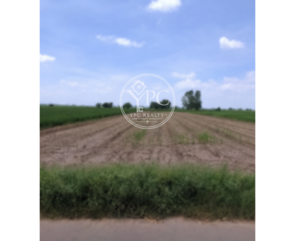 Agricultural Land For Commercial Use